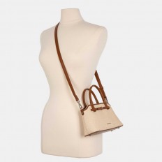 AA012501071 a small-sized...