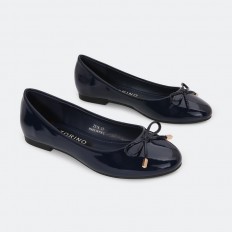 ZS16 Shiny Blarina Torino